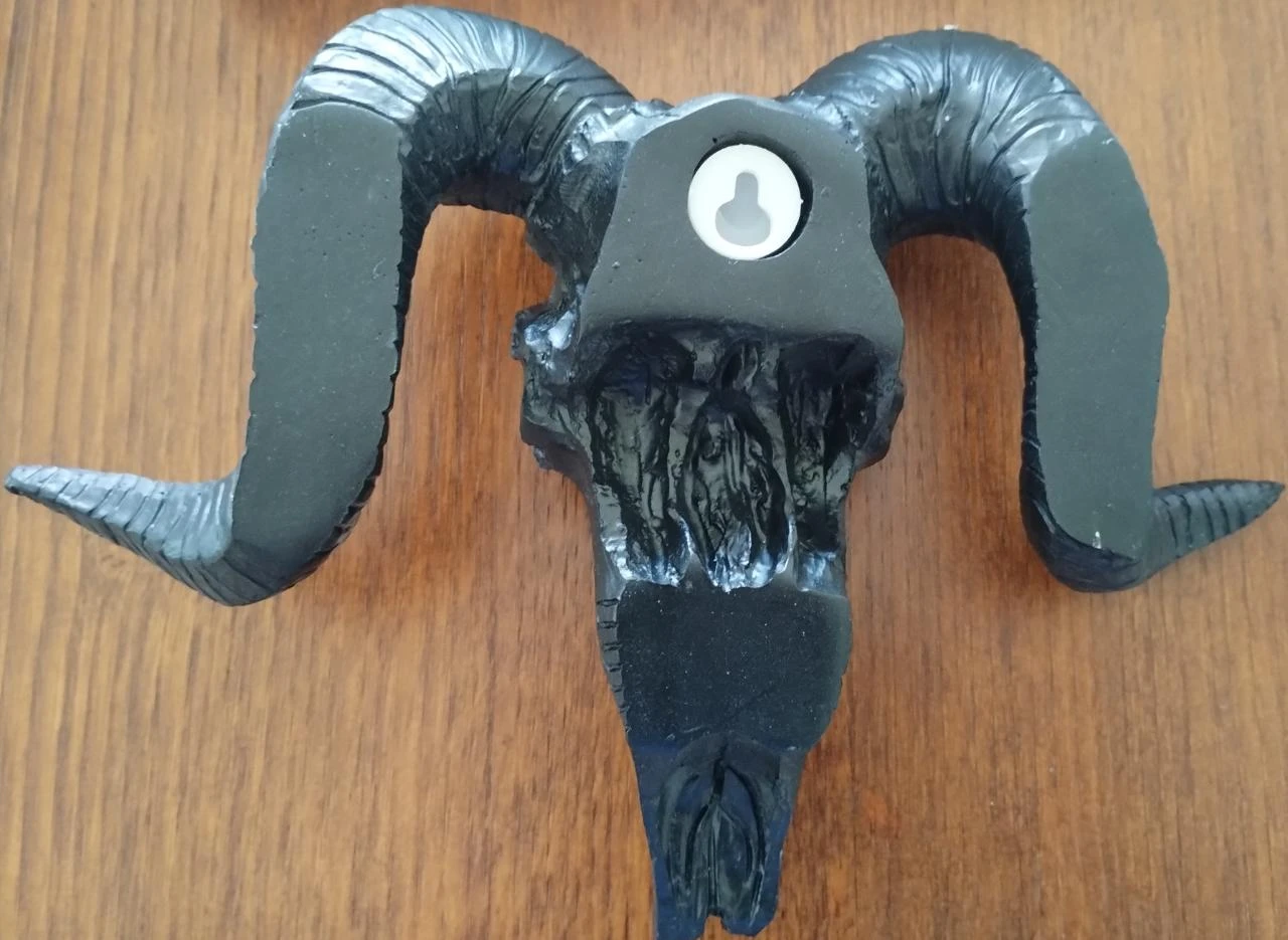 Caveira Crânio Carneiro Decorativo – photo 3